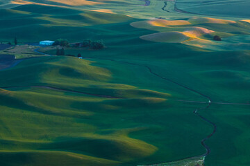 Sunset view of the rolling hills and wheat field in Palouse region, in Washington, USA.