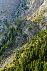 Autumn landscape at the Massif of Pedraforca. (Bergueda province, Catalonia - Spain)