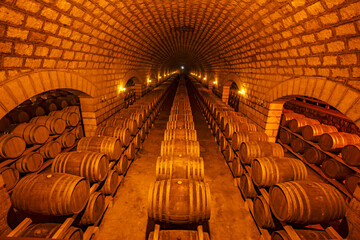 Oak barrels in wine cellars, Changli County, Hebei Province, China