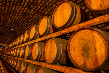 Oak barrels in wine cellars, Changli County, Hebei Province, China