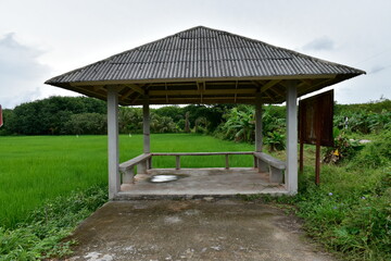 Old roadside pavilion with rice fields