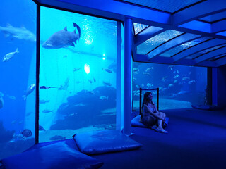 Woman silhouette in front of big aquarium. Dark blue photo with sea fish. © sapsan777