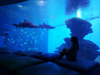 Woman silhouette in front of big aquarium. Dark blue photo with sea fish. © sapsan777