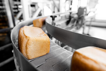 Fresh hot baked breads on automated production line bakery. Manufacture industrial