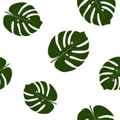 pattern with monstera leaves on a white background, color vector illustration, design, decoration