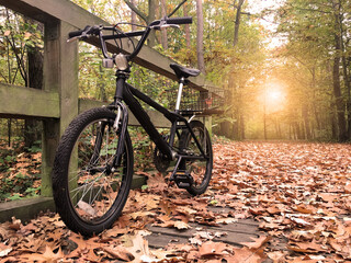 A bicycle park on the bridge in the forest