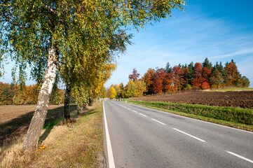 Autumn nature in the highlands. Colorful leaves on the trees, beautiful poetic views.