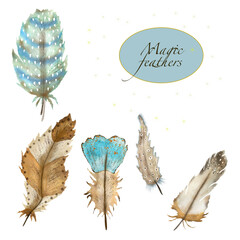 Watercolor illustration of a set of multi-colored bird feathers. Suitable for all types of design and printing.