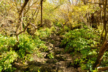 Very narrow stony mountain trail to Mount Myoken peak (Mount Unzen) among green trees in Unzen mountains in Unzen Amakusa National Park on Shimabara Peninsula, Japan.