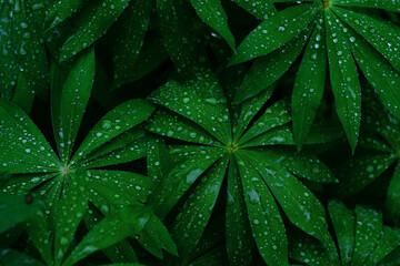 close up of green leaf