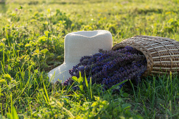 Hat and a basket of flowers on the green grass at sunset. Summer in the country. Eco concept. Blurred focus.