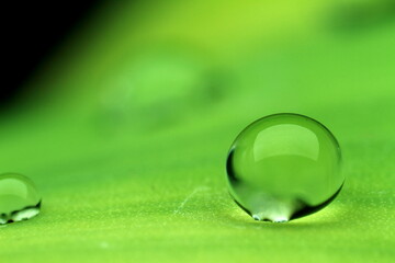 a drop of dew on a green leaf very close up