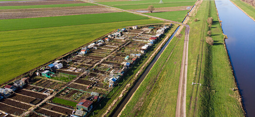 vegetable gardens in the polder, growing vegetables