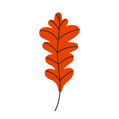 Orange oak leaf isolated on a white background. Fallen oak leaf. Flat vector illustration