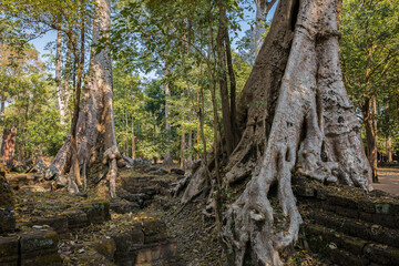 angkor thom phimeanakas temple, siem reap, Cambodia