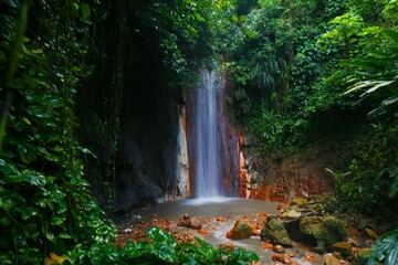 St Lucia Botanical garden