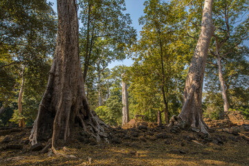 angkor thom phimeanakas temple, siem reap, Cambodia