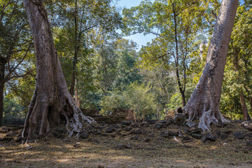 angkor thom phimeanakas temple, siem reap, Cambodia