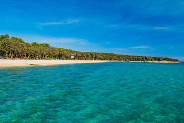 Adriatic seascape shore in Croatia, Pag island, pine woods and long beach from sea