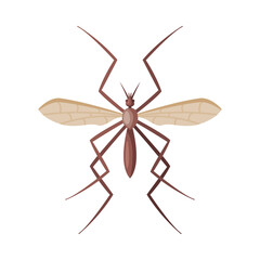 Mosquito Insect, Pest Control and Extermination Concept Vector Illustration on White Background
