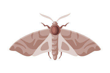 Clothes Moth Winged Insect, Pest Control and Extermination Concept Vector Illustration on White Background