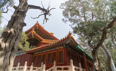 Tiananmen Square is the large square near the center of Beijing, Gate of Heavenly Peace, Forbidden...