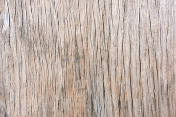 wood texture background