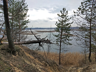 Soil Erosion by the lake.