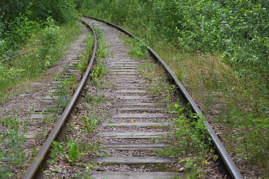 Overgrown with thick green grass old railway
