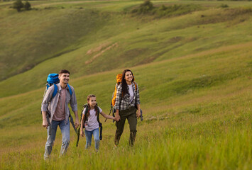 A family of tourists hiking ckpacks is walking along the grass on a hill in the mountains.