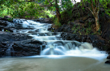Obraz premium Stream in the rainforest with soft flowing water like wool flowing through the cliff creates a peaceful landscape to relax soul and music