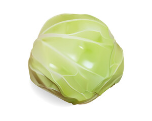 キャベツ イラスト 透明背景なので、どんな背景にもよく馴染む/リアルより美しく