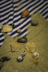 Fototapeta na wymiar beach background of striped vest, sand, seashells and rocks close-up