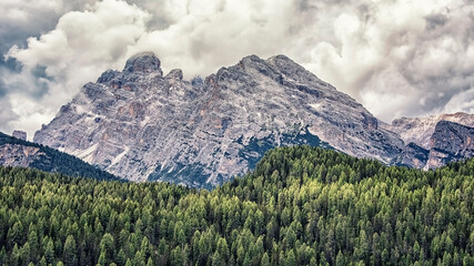 Forest in the dolomites mountains, Italy © Stockbym