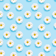 White camomiles on a blue background. Seamless pattern.