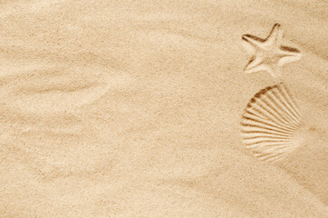 Fototapeta na wymiar Top view of a sandy beach, texture of clean sand of a natural surface. Sand background. Imprints of mollusks in the sand.