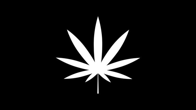 medical marijuana or cannabis leaf  icon on glitch old screen display animation. Retro, colorful video footage, 4K