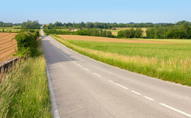 Straight country road among gentle hills in springtime