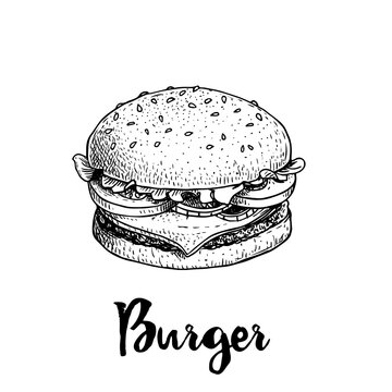 Hand drawn sketch style burger. Fast, street food. Cheeseburger with lettuce, tomato, onion and beef cutlet. Retro vintage style drawing. Vector illustration for menu and package designs.