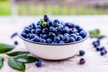 Freshly picked ripe blueberries in a bowl on the garden table. 