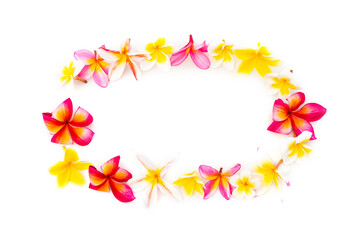 プルメリアのフレーム