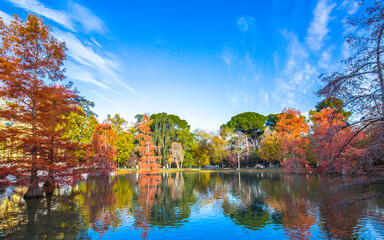 autumn landscape with trees and lake