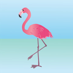
An illustration of a pink flamingo. He is holding one leg up.