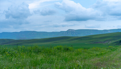 Landscape of meadows and mountains