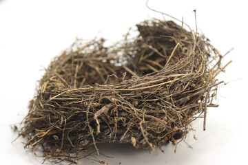 shelter honeybird's nest with white background