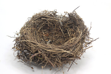 shelter honeybird's nest with white background