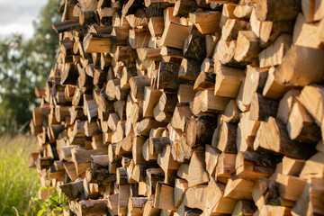 woodpile in the village. logging for the winter