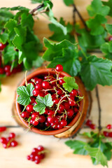 Selective focus. Red currants in a bowl. Red currant leaves. Summer fresh berries.