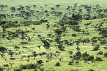 landscape of savannah in kenya