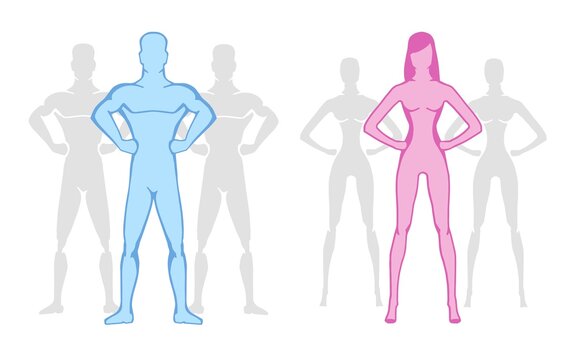 Gender, healthy body and stylized man of a athletic anatomy type of man and woman. Leadership attributes of pink women and blue men in a confident pose white background. Symbol of male and female.